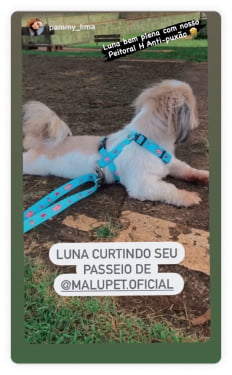 Depoimento 7