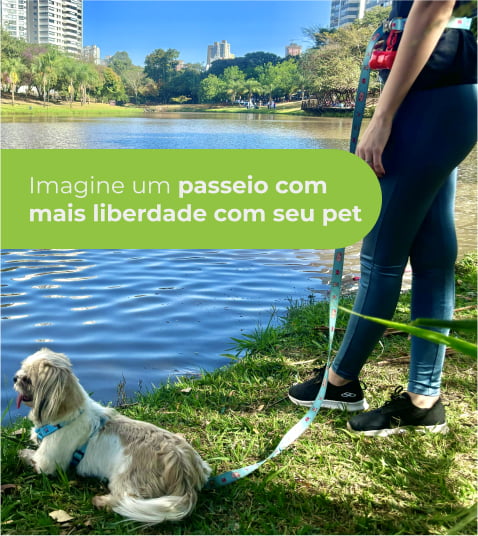 Passeios com mais liberdade